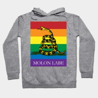 Molon Labe Rainbow Gadsden Hoodie